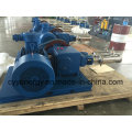 High Pressure L-CNG Oxygen Nitrogen Argon LNG Position Cylinder Filing Pump of Natural Gas